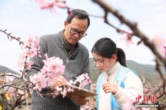 浙江宁海：民盟盟员桃林授课 小诗人童诗绘春光